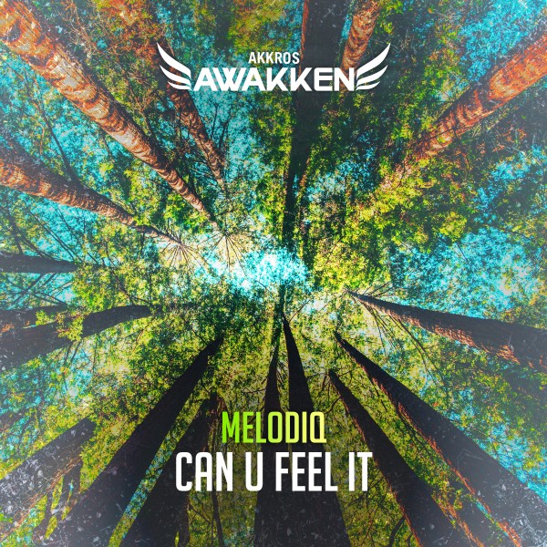 MelodiQ - Can U Feel It