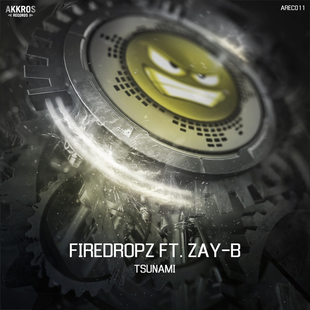 Firedropz Ft. Zay-B - Tsunami